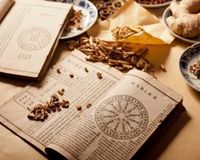 秋補 免抬頭文章分享平台