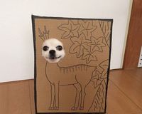 狗狗cosplay 免抬頭文章分享平台