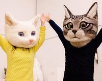 222貓之日 貓咪日