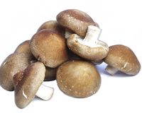 絕對不失敗的料理 香菇