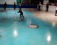 冰之水族館 免抬頭文章分享