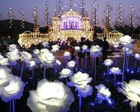 LED玫瑰花海 免抬頭