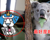 最狂的水壺 水壺