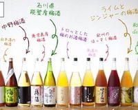 梅酒 水果酒喝到飽